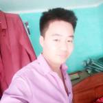 Nguyễn Thái Hòa Profile Picture