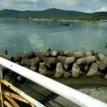 Ben Tre Dung Dua Profile Picture