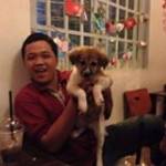 Lâm Trần Profile Picture
