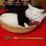   - Bạn   tìm bạn bốn phương ở  Profile Picture