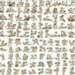   - app tìm bạn bốn phương làm quen hẹn hò  Profile Picture