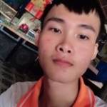 Lê Trường Profile Picture