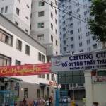   - app tìm bạn bốn phương làm quen hẹn hò  Profile Picture