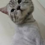 Aladin - app tìm bạn bốn phương làm quen hẹn hò  Profile Picture