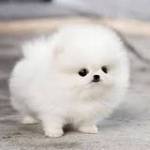 Tịnh Qpt Profile Picture
