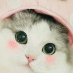 Khuong Duy Profile Picture