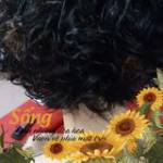 Ni Trân Profile Picture