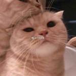 Huy Profile Picture