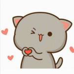 Nhung Profile Picture