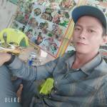 Tứ Đỗ Tường Profile Picture