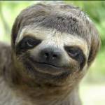Tìm sugar mommy Profile Picture