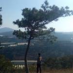 Phong Tinh Profile Picture