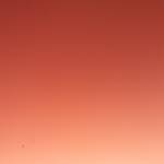 Khoa Profile Picture