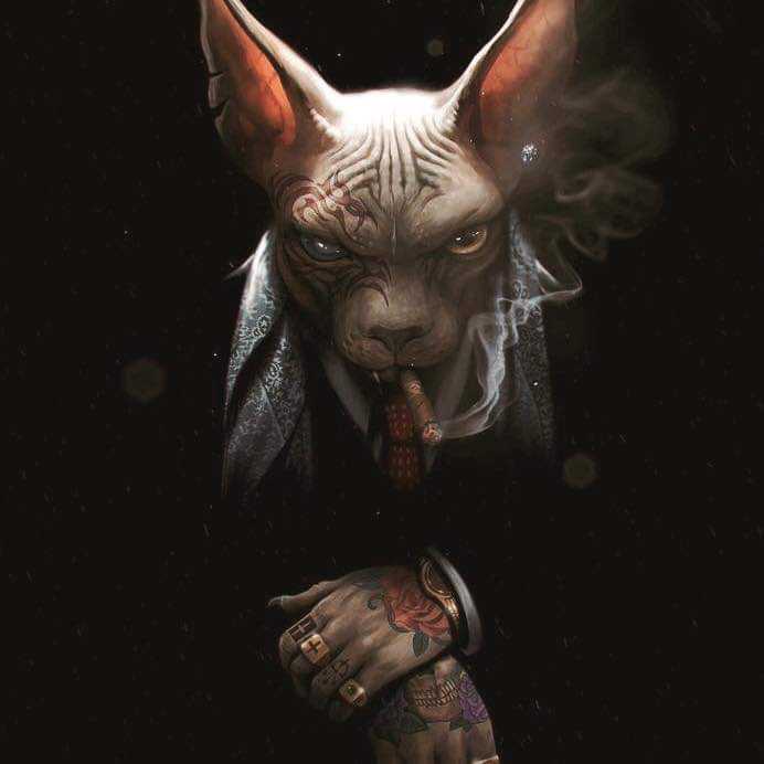avatar