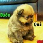 Biliyang Profile Picture