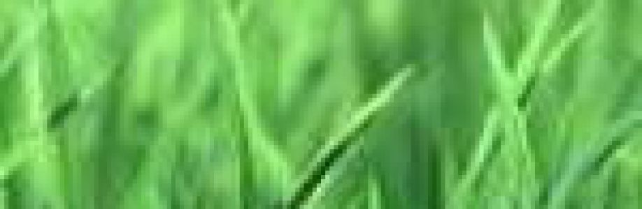 DONG Cover Image