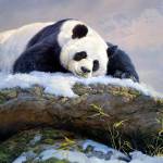 Anh Duy Trần Profile Picture