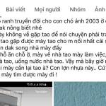 Trần Văn Bình - Bạn   tìm bạn bốn phương ở ,  Profile Picture