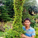 hùng lê Profile Picture