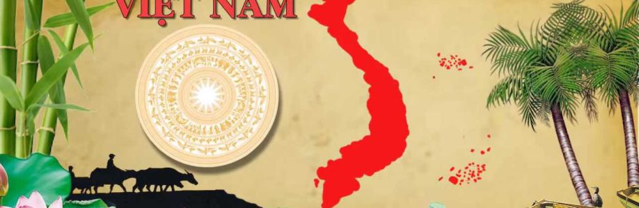 Việt Nam LíuLo Cover Image