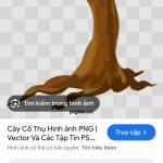 Duytranvi Profile Picture